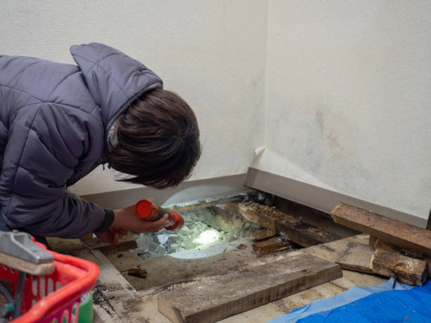 Best Post-Remediation Verification Testing  in Spooner, WI