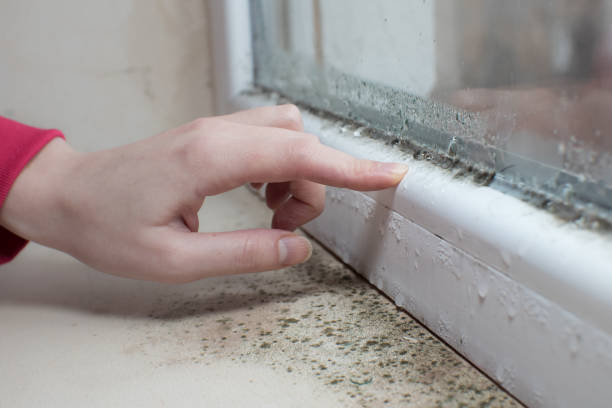 Best Residential Mold Inspection & Testing  in Spooner, WI