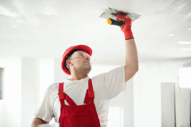 Best Mold Removal for HVAC Installations  in Spooner, WI