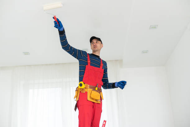 Best Basement Mold Removal  in Spooner, WI