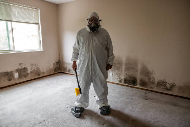 Best Crawl Space Mold Remediation  in Spooner, WI